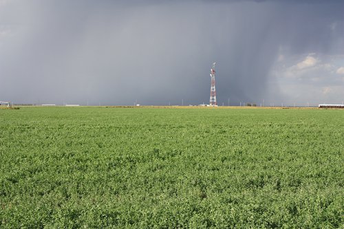 Property photo 99 - LAND AUCTION, 3255+/- Acres offered in 13 Tracts